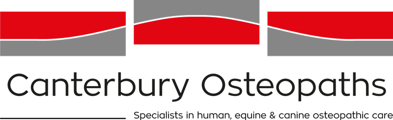 Osteopathy services in Christchurch and Canterbury